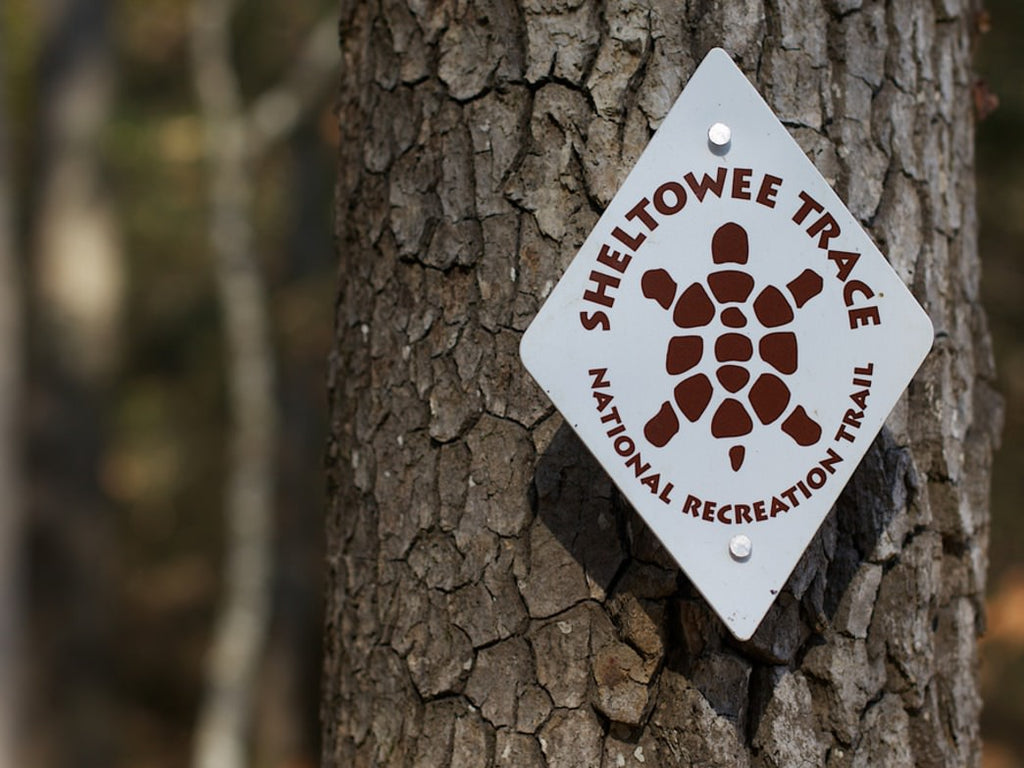The Sheltowee Trace- Kentucky's Long Trail