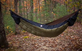 Shell Hammock