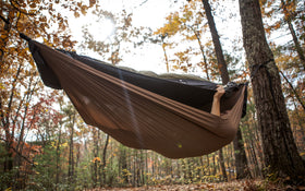 Shell Hammock